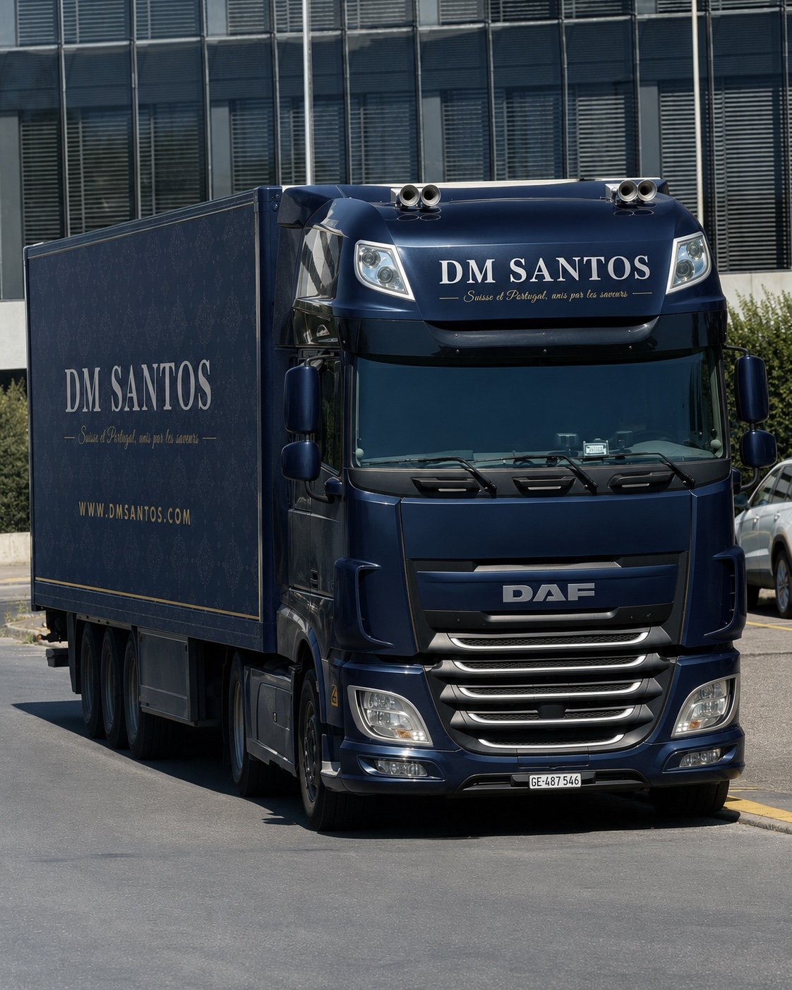 Camion DM Santos