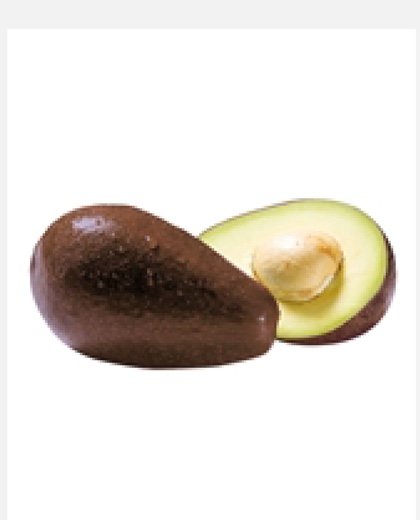 Avocat Hass