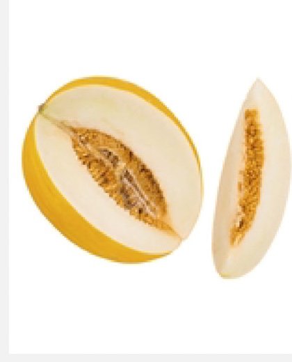 Melon blanc - Espagne