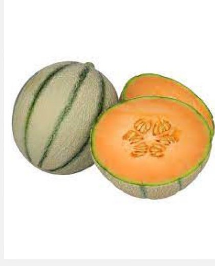 Melon Cantaloup