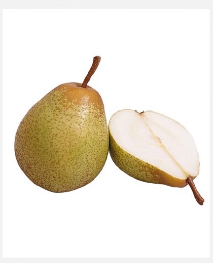 Poire Rocha