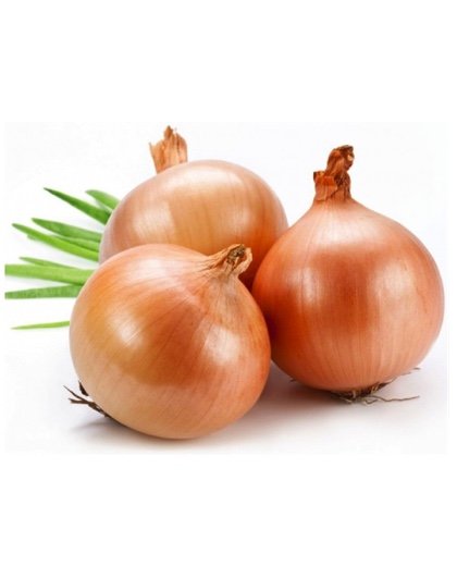 Oignon