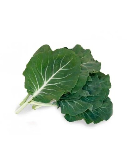 Feuilles de chou pour caldo verde