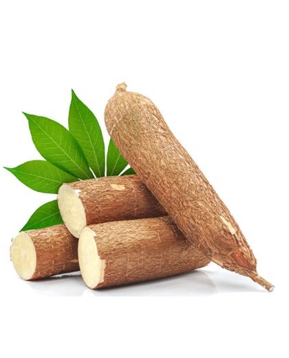 Manioc frais