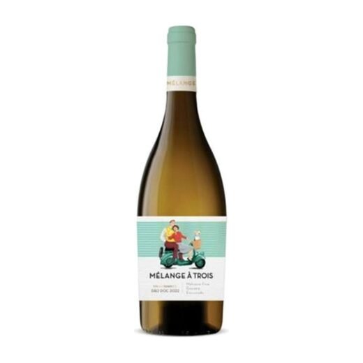 VIN QTA CARVAL MELANGE A 3 BLANC (6 UNI)